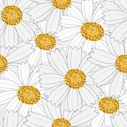 Chamomile floral seamless vector pattern background. Overlapping flower heads of ancient medicinal herb. Hand drawn botanical plant motifs. Textural design repeat. Nature garden flowers all over print