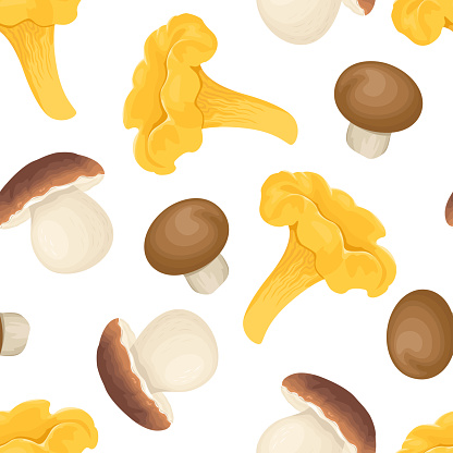 Chanterelle mushrooms and boletus mushrooms seamless pattern. Food background. Vector autumn illustration.