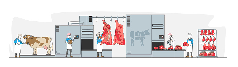 Characters Work on Meat Factory Processing Line from Alive Cow, Carcass Cutting to Weighing and Filling Shelf with Beef