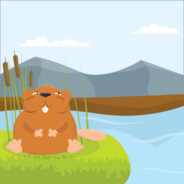Beavers Dam Illustrations, Royalty-Free Vector Graphics & Clip Art - iStock