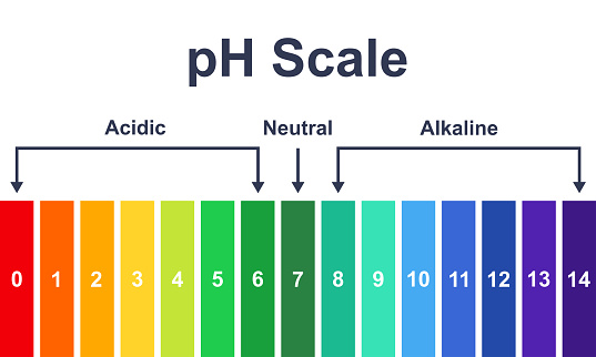 Chart ph acidic, neutral and alkaline scale. Ph value scale chart. Indicator diagram.