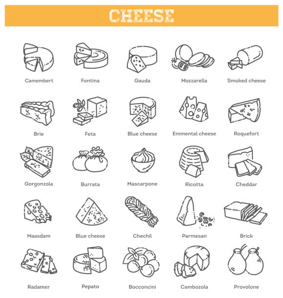 Cheese collection. Vector illustration of cheese types Includes various cheese types - maasdam, brie, gouda, mozzarella, swiss cheese, parmesan, emmental, camembert, cheddar, feta dorblu and other popular cheeses cheddar cheese stock illustrations