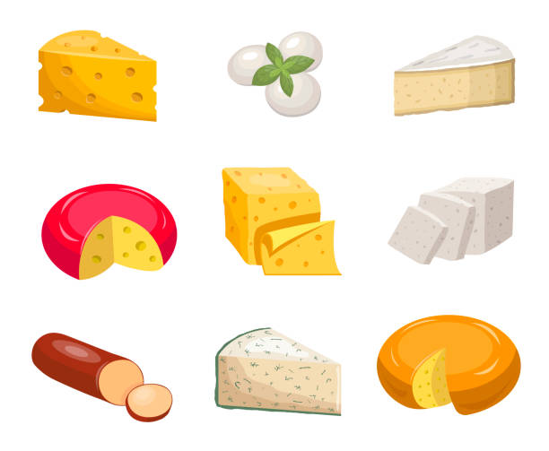 Cheese set. Yellow piece cheddar oval white mozzarella gouda slice blue mold roquefort. Cheese set. Yellow piece cheddar oval white mozzarella gouda slice blue mold roquefort smoked sausage chees slice vegetarian toffu feta, goat milk camembert. Fragrant color vector clipart. brie stock illustrations