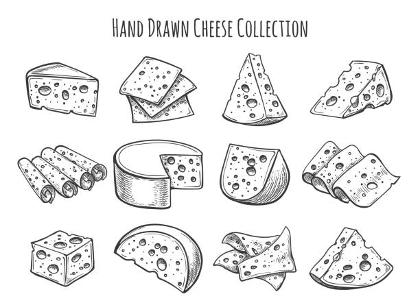 Cheese sketch set Cheese sketch set. Vector doodle collection of cheese pieces and slices cheese designs stock illustrations