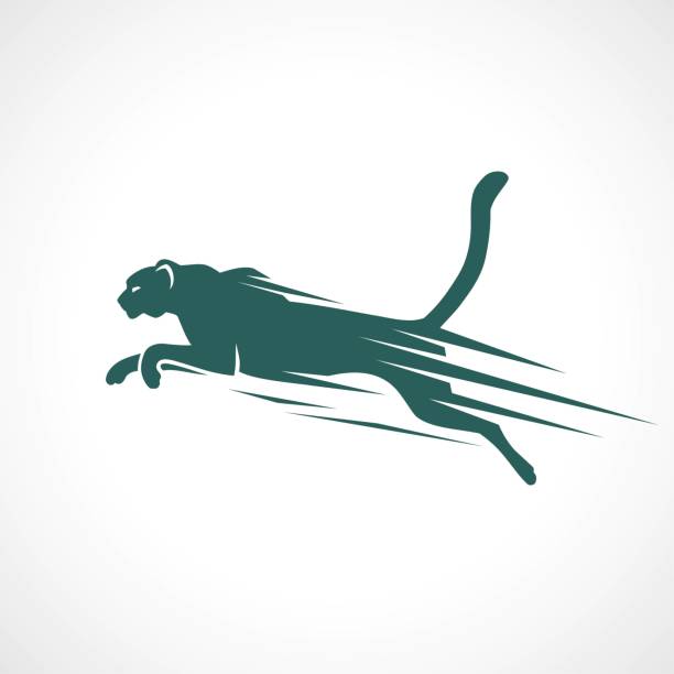 Cheetah symbol - vector illustration Cheetah symbol big cat stock illustrations