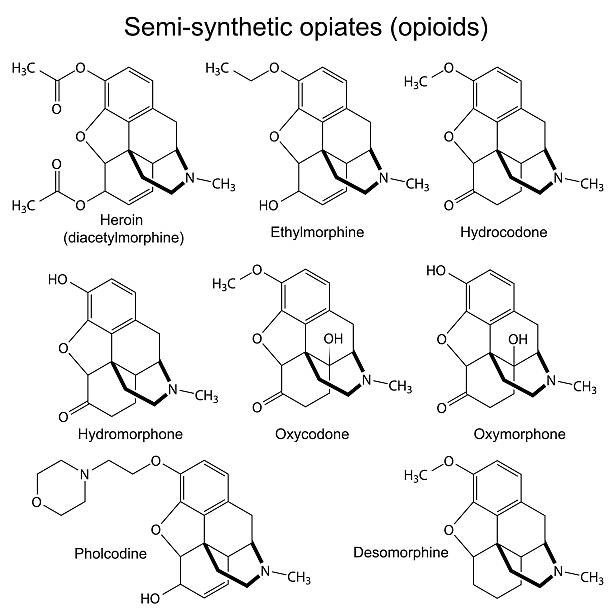 Chemical formulas of main semisynthetic opiates vector art illustration