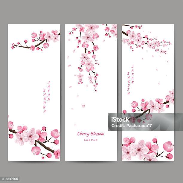 Cherry Blossom Border Free Vector Art 50 Free Downloads