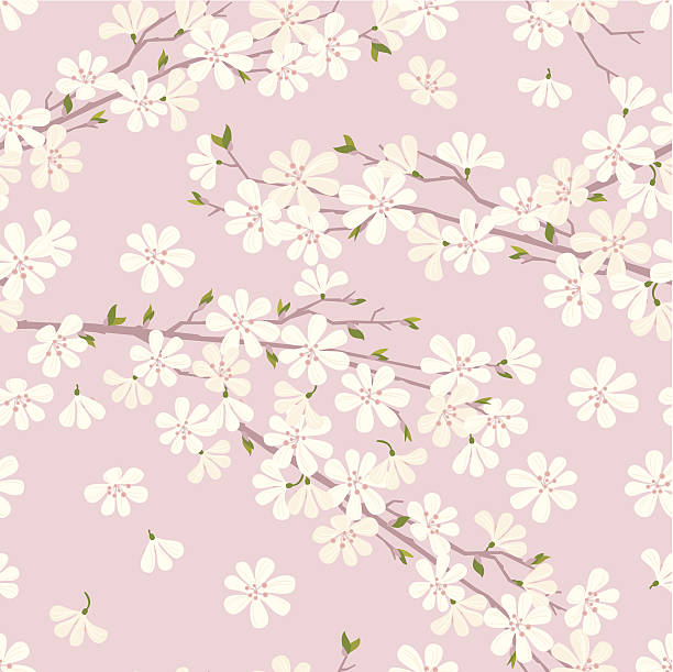 Cherry Blossom Pattern Cherry blossom seamless pattern on pink background. Vector. EPS 8. blossom illustrations stock illustrations