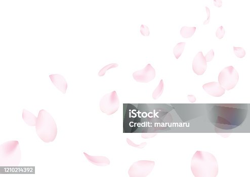 istock Cherry blossoms background 1210214392
