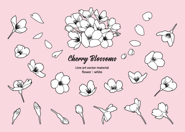 https www istockphoto com jp e3 82 a4 e3 83 a9 e3 82 b9 e3 83 88 e6 a1 9c e7 a5 ad e3 82 8a