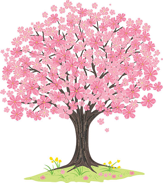 画像をダウンロード 桜の 木 イラスト 書き方