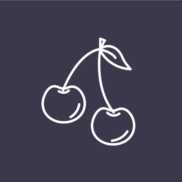 illustrazioni stock, clip art, cartoni animati e icone di tendenza di icona linea sottile frutti di ciliegio - ciliegie