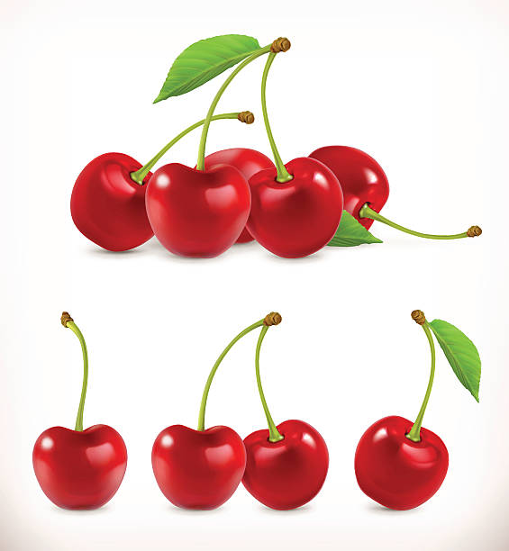 Cherry. Sweet fruit Cherry. Sweet fruit. 3d vector icons set. Realistic illustration cherry stock illustrations