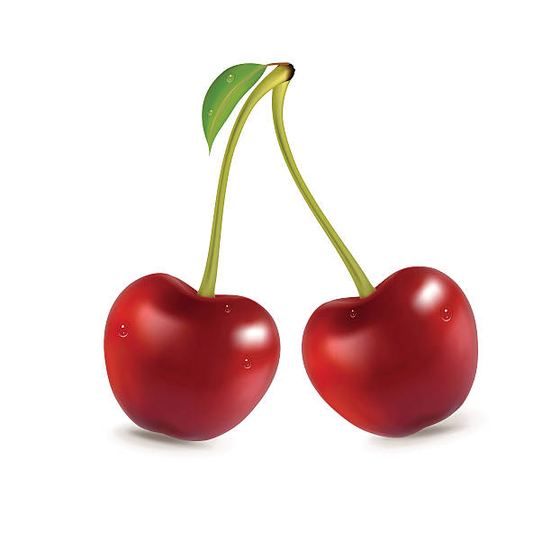 Cherry fresh cherry cherry stock illustrations