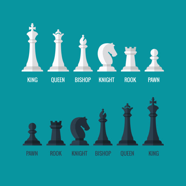 Chess pieces king queen bishop knight rook pawn flat vector Chess pieces king queen bishop knight rook pawn flat vector icons set. Chess figures black and white. Team with chess pieces illustration chess stock illustrations