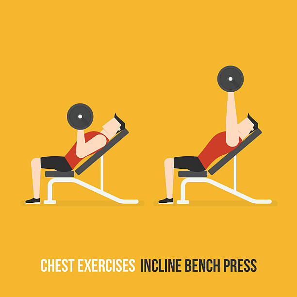 Chest Exercises Incline Bench Press Stock Illustration Download