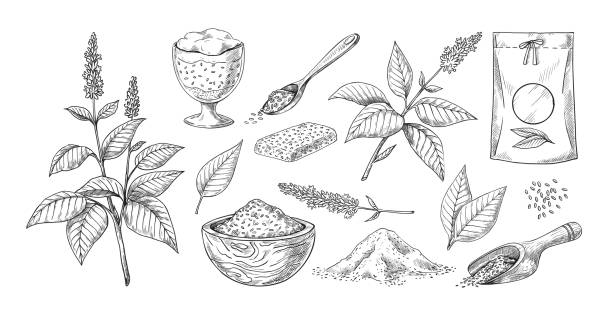 Chia seed sketch. Hand drawn plants with flowers. Vegetarian superfood concept in sack and pile. Culinary botanical ingredient for desserts and cookies. Vector organic grains engraving set vector art illustration