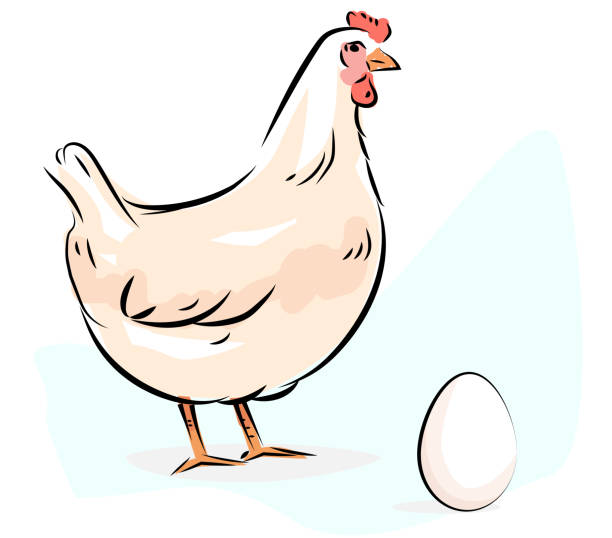 Chicken and Egg vector art illustration