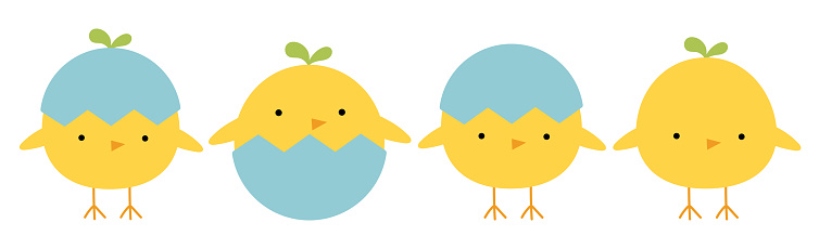 Chicken bird set line. Cute cartoon funny kawaii baby character. Happy Easter. Flat design.