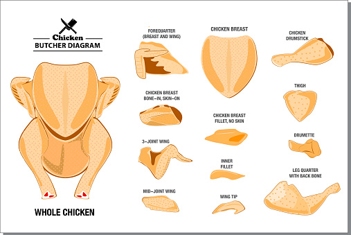 chicken butcher diagram or part of hen butcher concept. easy to modify vector