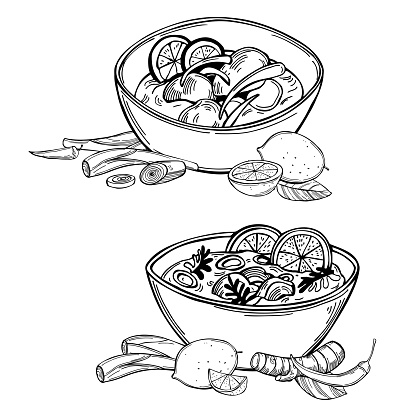 Chicken coconut soup. Thai cuisine. Sketch  illustration.