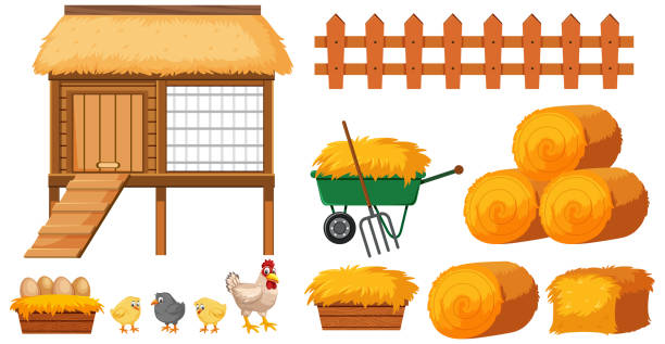 Chicken coop and hays on white background Chicken coop and hays on white background illustration chicken coop stock illustrations