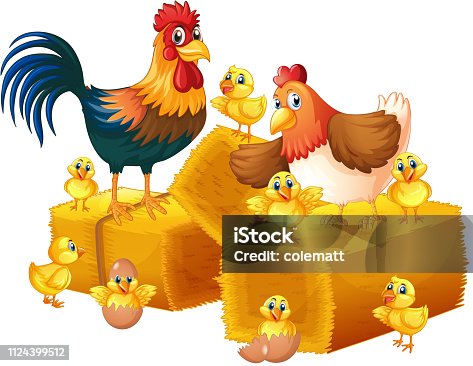 istock Chicken family on white background 1124399512