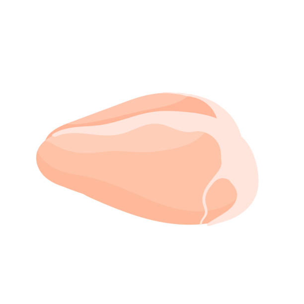 Chicken fillet meat product, butchery food production, whole uncooked chicken breast vector art illustration