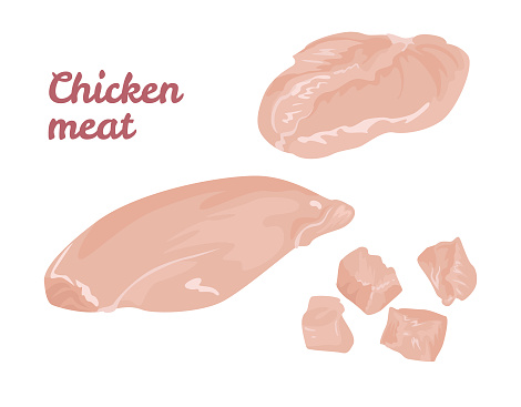Chicken meat isolated on white background. Fresh fillet and diced pieces. Vector illustration of raw chicken breast in cartoon simple flat style. vector