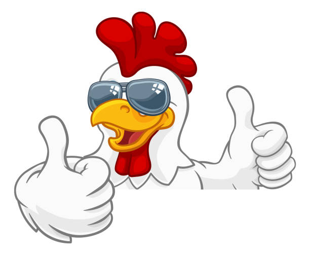 Chicken Rooster Cockerel Bird Sunglasses Cartoon A chicken rooster cockerel bird cartoon character in cool shades or sunglasses peeking over a sign and giving a double thumbs up chicken bird stock illustrations