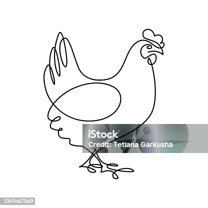 istock Chicken 1341467569