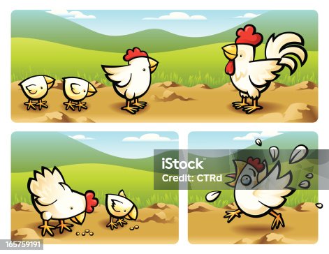 istock Chicken 165759191