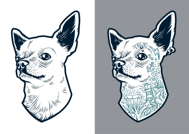 Chihuahua Vector Dog Chihuahua dog art. Vector dog two versions: clean and with old school tattoos and piercing. Little brave hipster pet. chihuahua dog stock illustrations