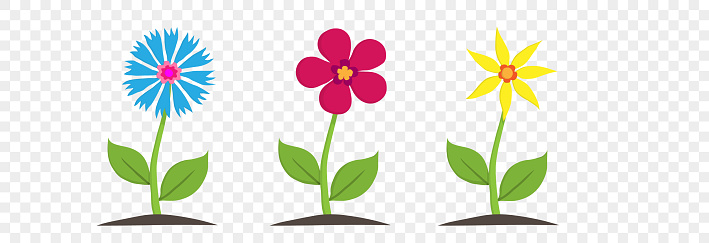 Spring and summer flowers. Spring flowers design. The nature flowers. Cute chick, chiken baby.. PNG. Vector illustration. Transparent background.