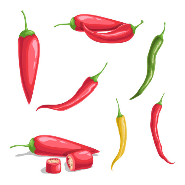 stockillustraties, clipart, cartoons en iconen met chili pepper set in cartoon flat style. different type of hot spicy vegetables. whole and cut. cayenne peppers. vector illustrations isolated on white background. - kruidnoten