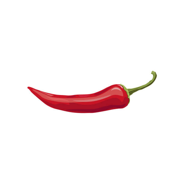 Chili pepper vector Chili pepper isolated on a white background. Vector illustration cayenne pepper stock illustrations