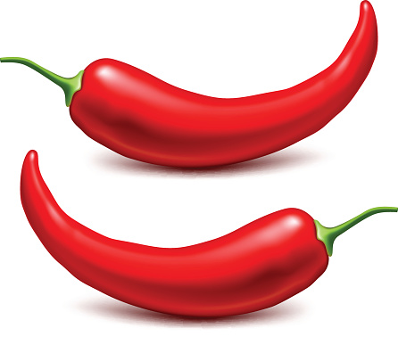 Chili peppers. Vector illustration