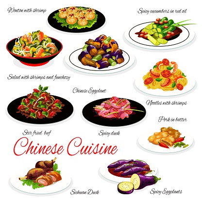 Chinese cuisine food vector dishes of Asian noodles with seafood, vegetables and meat. Udon and funchoza with shrimps, fried wonton dumplings, spicy eggplant and cucumber salad, sichuan duck and beef