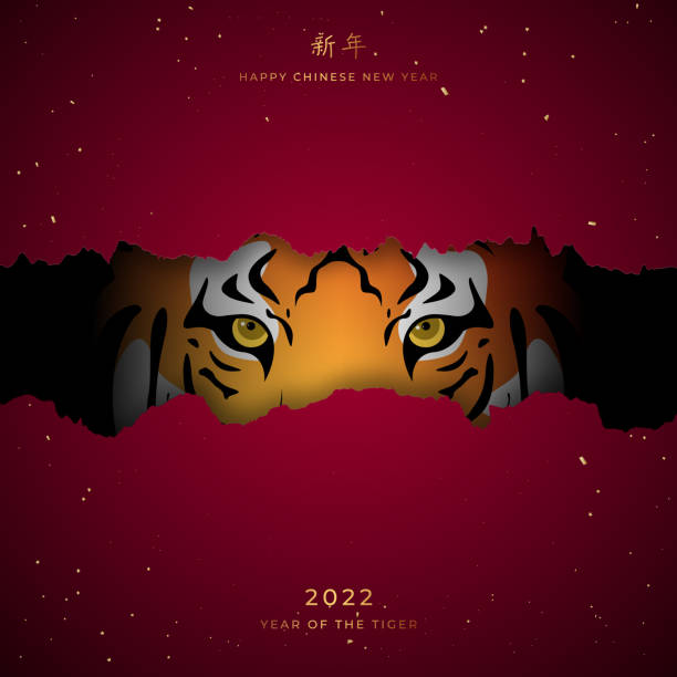 ilustraciones, imágenes clip art, dibujos animados e iconos de stock de bandera festiva del año nuevo chino 2022. tiger mira fuera del agujero en papel rojo. los jeroglíficos significan deseos de un feliz año nuevo. - lunar new year
