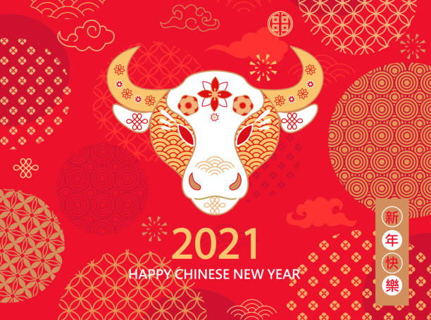 ilustraciones, imágenes clip art, dibujos animados e iconos de stock de 2021 tarjeta de felicitación roja del año nuevo chino con toro. - lunar new year