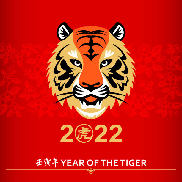 stockillustraties, clipart, cartoons en iconen met chinese new year tiger head - gouden kat
