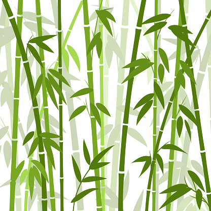 Chinese or japanese bamboo grass oriental wallpaper vector illustration