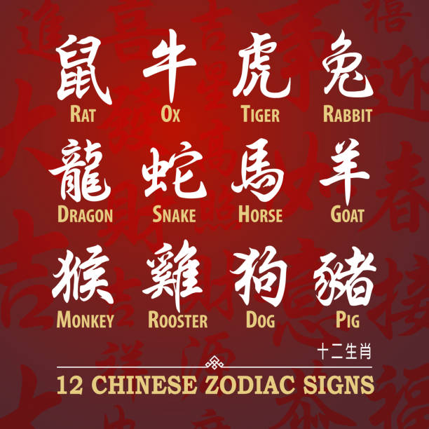 Chinese Zodiac Signs Calligraphy 12 Chinese zodiac calligraphy are words of animals used to represent years of the lunar calendar, in order are: rat, ox, tiger, rabbit, dragon, snake, horse, goat, monkey, rooster, dog and pig. year of the dog stock illustrations