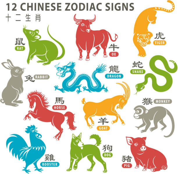 12 Chinese Zodiac Signs 12 Chinese zodiac animals are used to represent years of the lunar calendar, in order are: rat, ox, tiger, rabbit, dragon, snake, horse, goat, monkey, rooster, dog and pig. chinese year of the dog stock illustrations