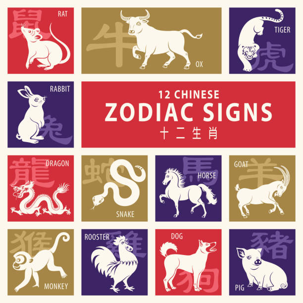 12 Chinese Zodiac Signs 12 Chinese zodiac animals are used to represent years of the lunar calendar, in order are: rat, ox, tiger, rabbit, dragon, snake, horse, goat, monkey, rooster, dog and pig. chinese year of the dog stock illustrations