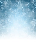 Christmas blurred background with snowflakes. Vector Illustration.