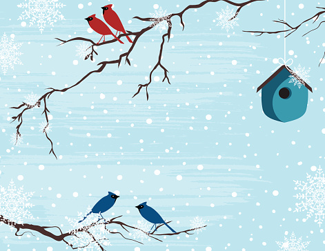 Christmas Birds On Snowy Branches Template