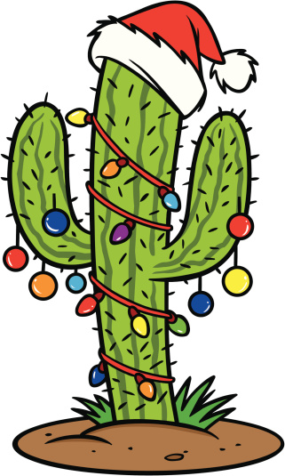 Christmas Cactus Stock Illustration - Download Image Now - iStock