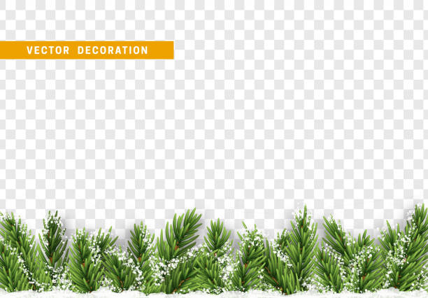 Christmas decorations. Christmas decorations. Border Xmas with pine tree branches and ornaments isolated on a transparent background. winter borders stock illustrations