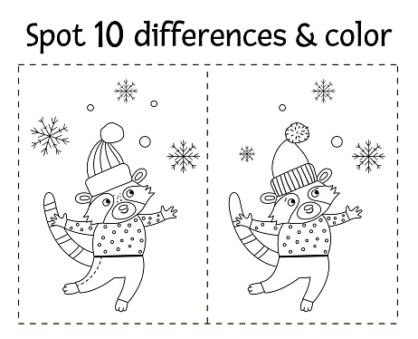 Christmas find differences game and color for children. Winter educational activity with funny raccoon and snowflakes. Printable worksheet for kids. Cute New Year coloring page with animal in sweater